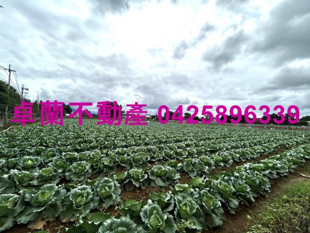 苗栗卓蘭農地-1