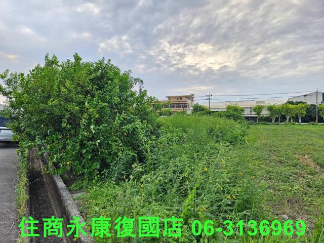台南七股農地-3