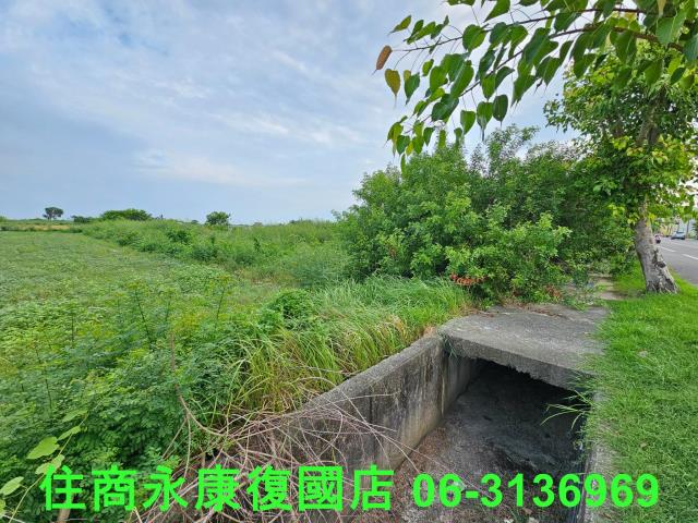台南七股農地-6