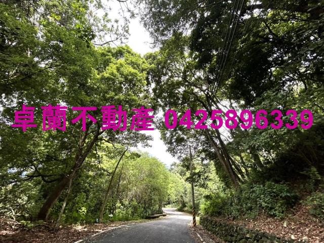 苗栗卓蘭農地-10