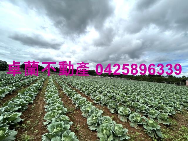 苗栗卓蘭農地-5
