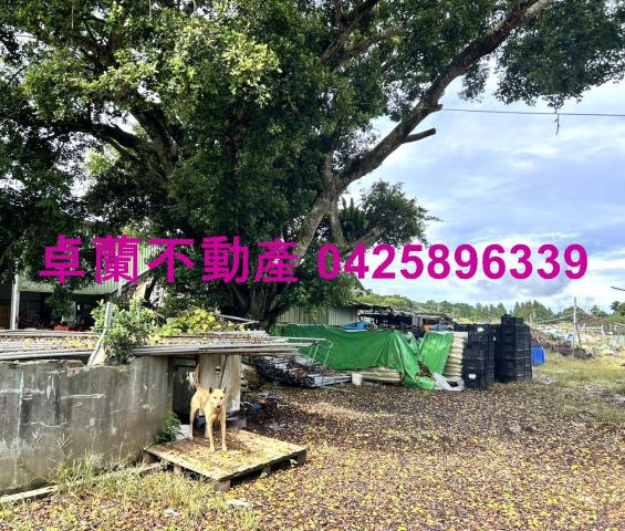 苗栗卓蘭農地-9