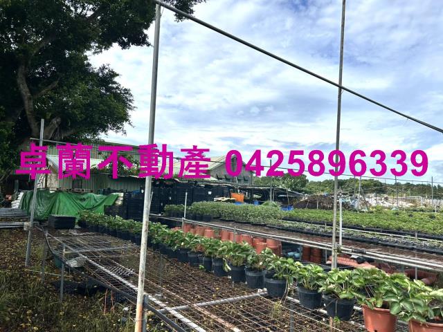 苗栗卓蘭農地-5