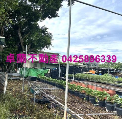 苗栗卓蘭農地-6