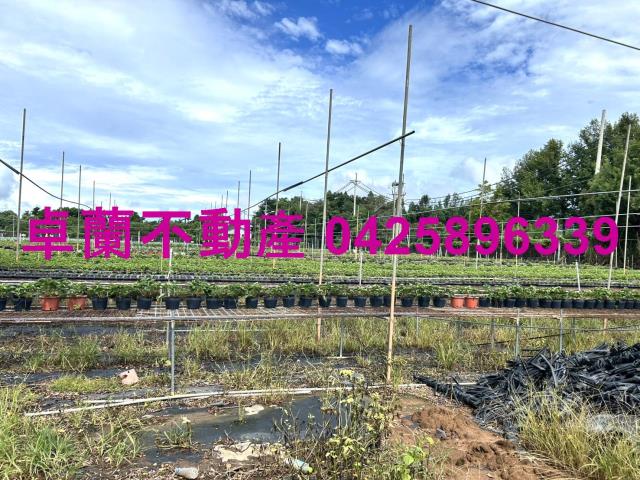 苗栗卓蘭農地-7