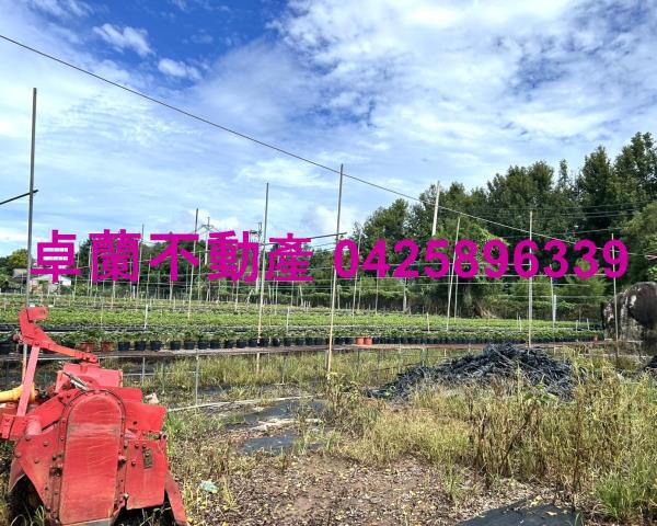 苗栗卓蘭農地-8