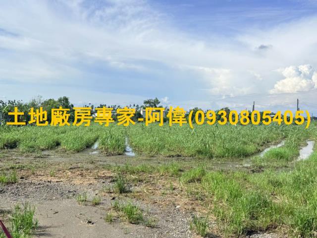 屏東市大路邊漂亮農地1176坪出售