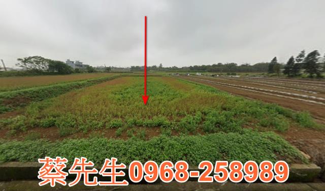 中壢山坪路農保地可蓋資材室可做農保