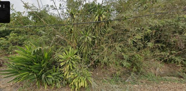 台南市白河區大林里法拍種菜農地