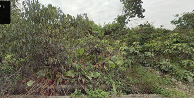 台南市白河區大林里法拍農保地