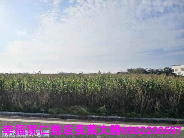 台南農地-10