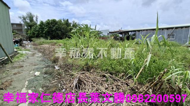 台南農地-3