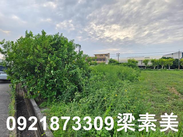 台南七股農地-3