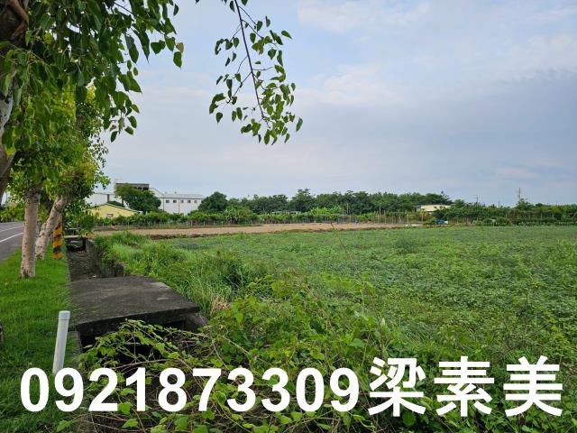 台南七股農地-5