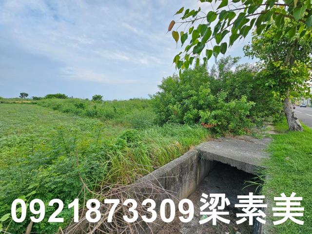 台南七股農地-6