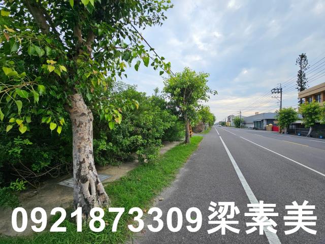 台南七股農地-8