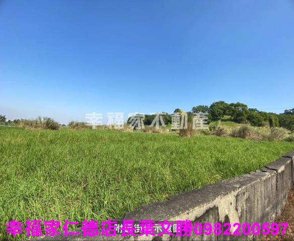 台南關廟農地-14