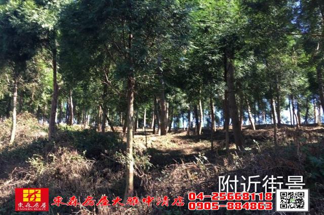 苗栗三義農地-2