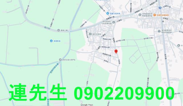 湖內法拍建地-5