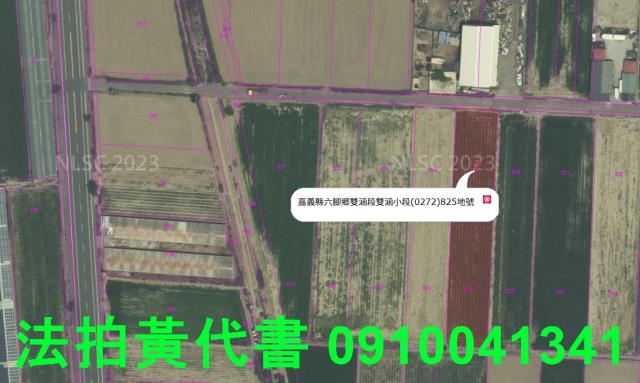 六腳農地法拍-4
