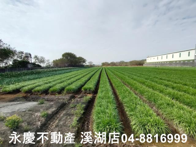 彰化溪湖埔鹽埔心福興埤頭二林芳苑建地田地農地廠房工業用地