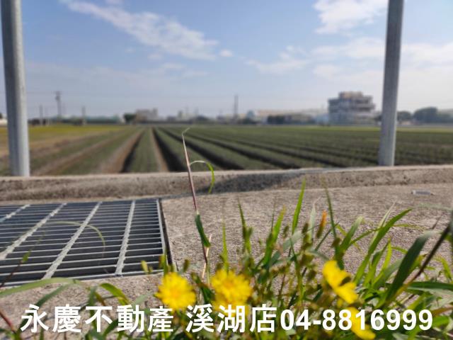 彰化溪湖埔鹽埔心福興埤頭二林芳苑建地田地農地廠房工業用地