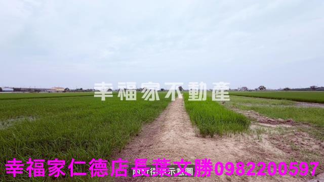 後壁農地-0