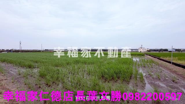 後壁農地-4