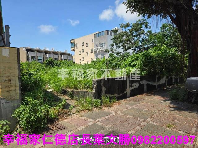 台南農地-5
