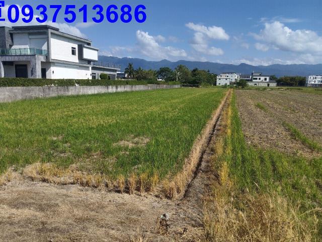 宜蘭縣壯圍鄉功勞段農地出售
