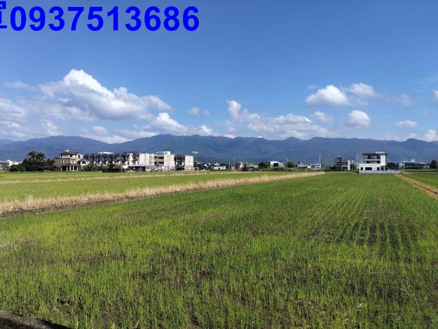宜蘭壯圍農地-3