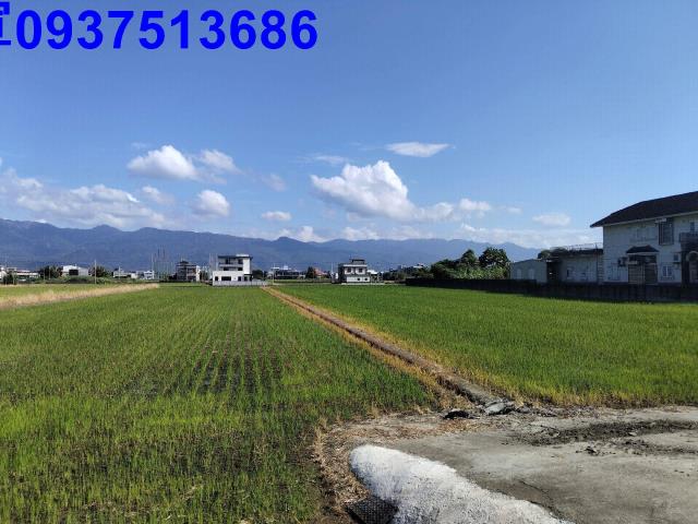 宜蘭壯圍農地-4