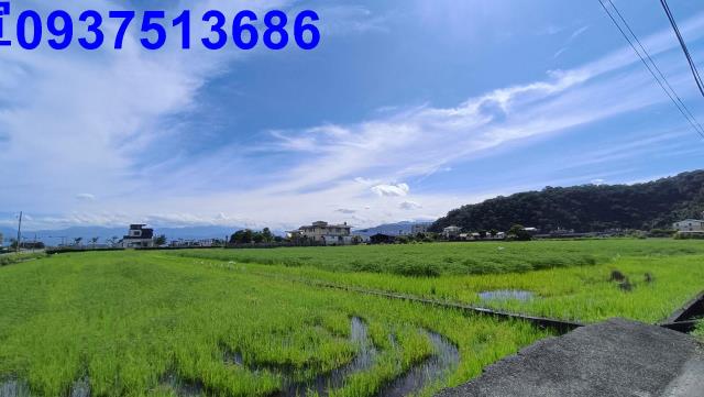 宜蘭礁溪農地-14