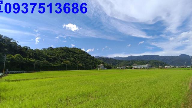 宜蘭礁溪農地-2