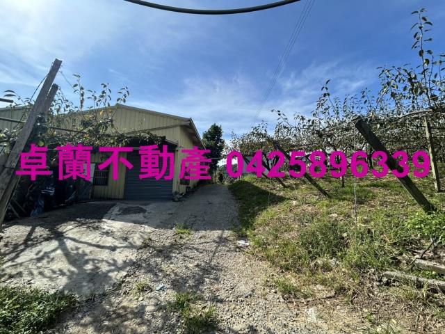 卓蘭農地-8