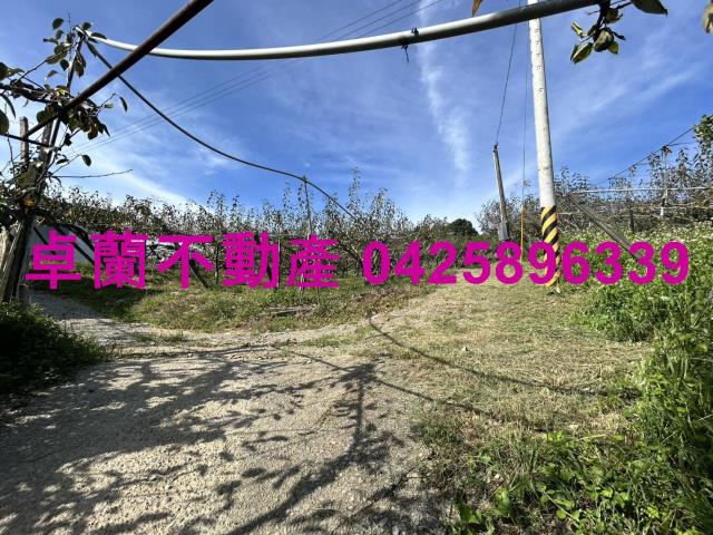 卓蘭農地-9