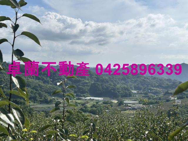 卓蘭農地-11