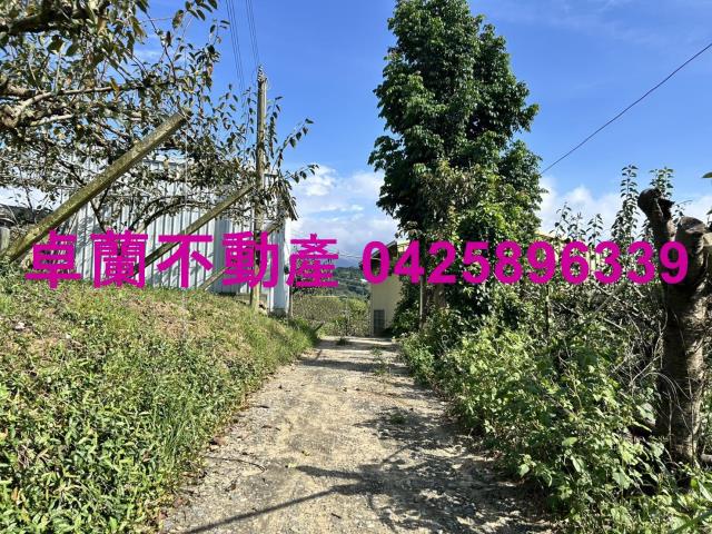 卓蘭農地-2