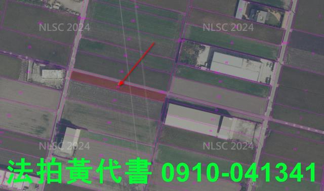 龍井拍賣農地-4