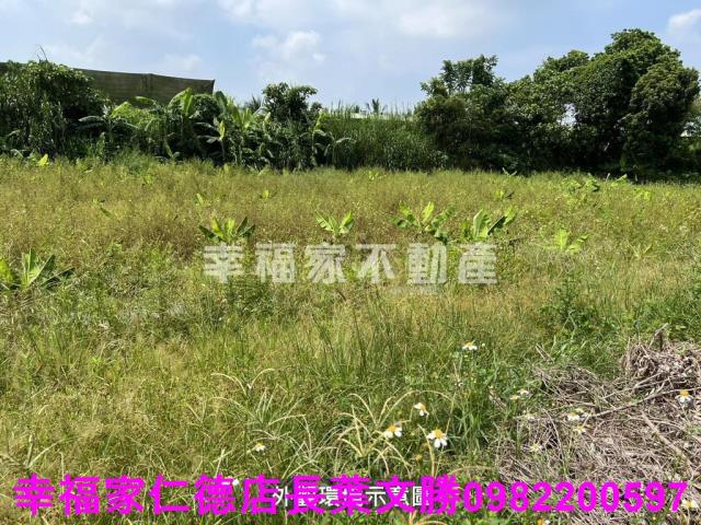 台南農地-12