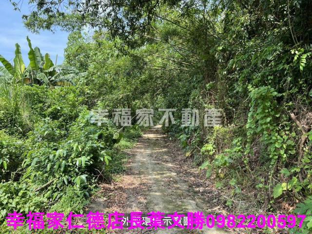台南農地-14