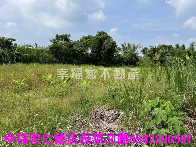 台南農地-0