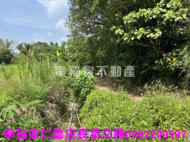 台南農地-4