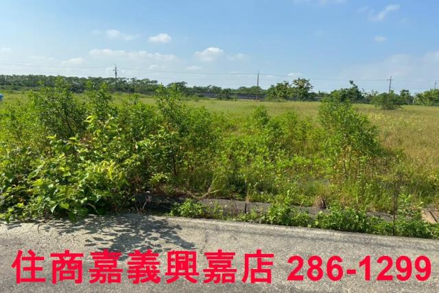 嘉義農地-2