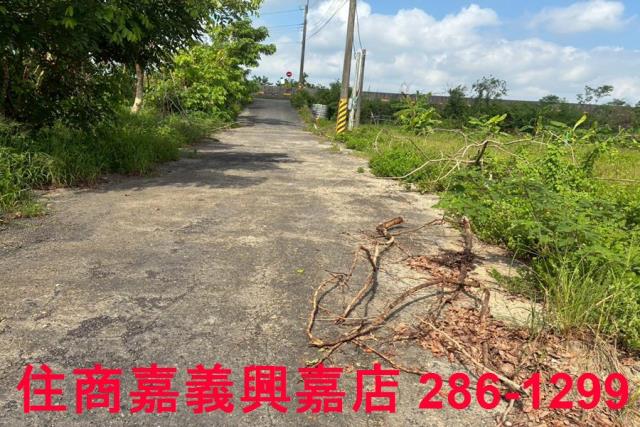 嘉義農地-3