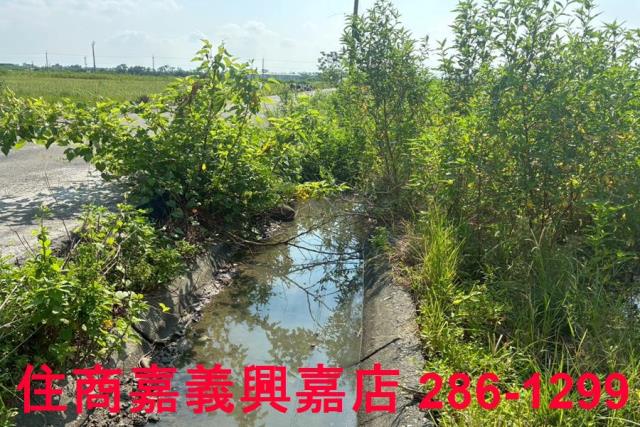 嘉義農地-5
