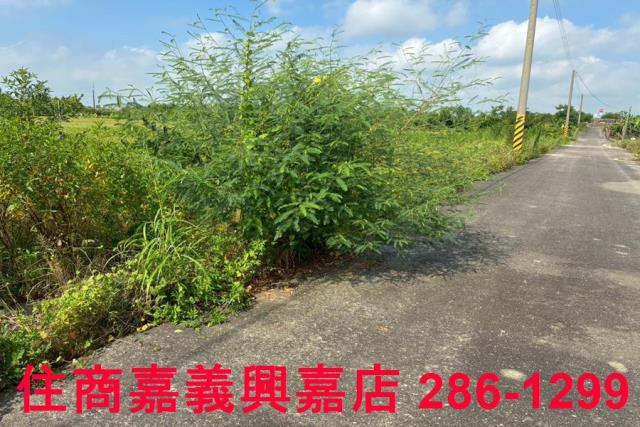 嘉義農地-7