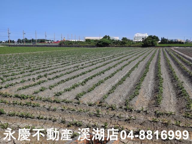 彰化農地-1