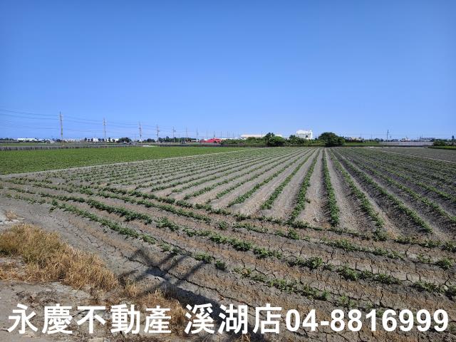 彰化農地-3