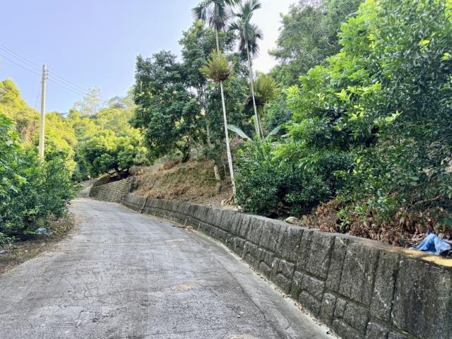 南投農地-3